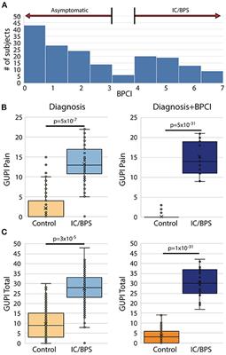 Unsupervised Machine Learning Approaches Reveal Distinct Phenotypes of Perceived Bladder Pain: A Pilot Study
